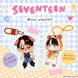 Mingyu and hoshi charms